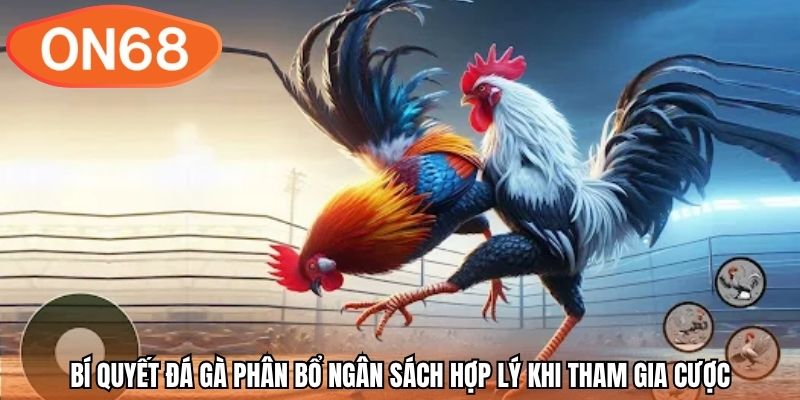 Bí quyết đá gà phân bổ ngân sách hợp lý khi tham gia cược