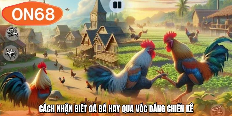 Đá gà cựa dao là gì mà lại khiến hàng triệu tín đồ mê mẩn? Hãy cùng ON68 khám phá tường tận về loại hình thi đấu nghẹt thở, có tốc độ sát thương cực cao.