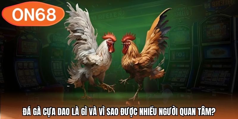 Đá gà cựa dao là gì và vì sao được nhiều người quan tâm?