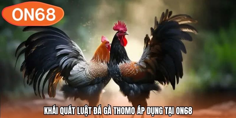 Khái quát luật đá gà thomo áp dụng tại ON68