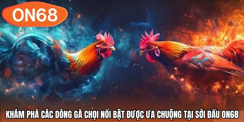 Khám phá các dòng gà chọi nổi bật được ưa chuộng tại sới đấu ON68