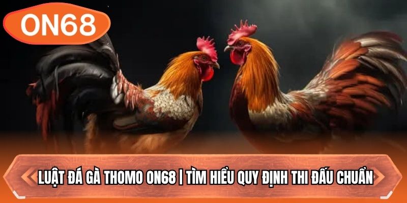 Luật Đá Gà Thomo ON68 | Tìm Hiểu Quy Định Thi Đấu Chuẩn