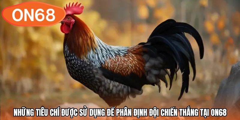 Những tiêu chí được sử dụng để phân định đội chiến thắng tại ON68